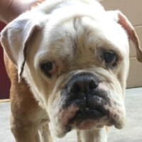 Buddy<BR>
9/9/2017<BR>
