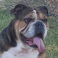Chunks<BR>
10/2/2018<BR>