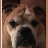 Harley<BR>
12/30/2017<BR>
