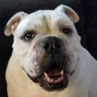 Truman<BR>
8/7/2018<BR>