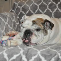 Hercules<BR>
10/7/2019<BR>