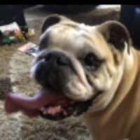 Mary<BR>
3/12/2019<BR>