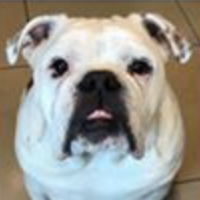 Rocky<BR>
3/2/2020<BR>
