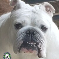 Diamond<BR>
5/16/2021<BR>