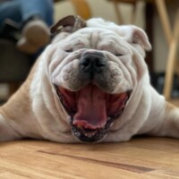 Sampson<BR>
7/8/2022<BR<